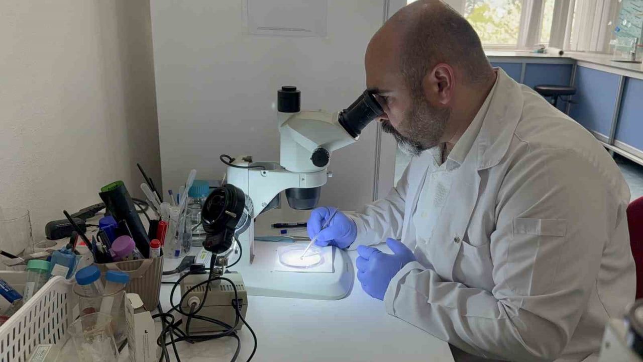 Prof. Dr. Adem Keskin: Kar örtüsü keneleri tamamen yok etmiyor