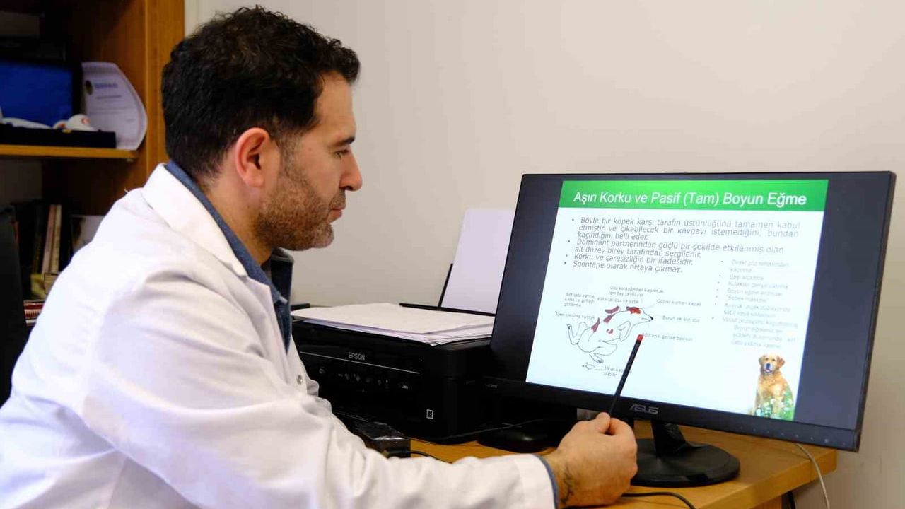 Prof. Dr. Mustafa Koçkaya: Sokak Hayvanlarına Karşı Toplumsal Sorumluluk ve Sağlık Önlemleri