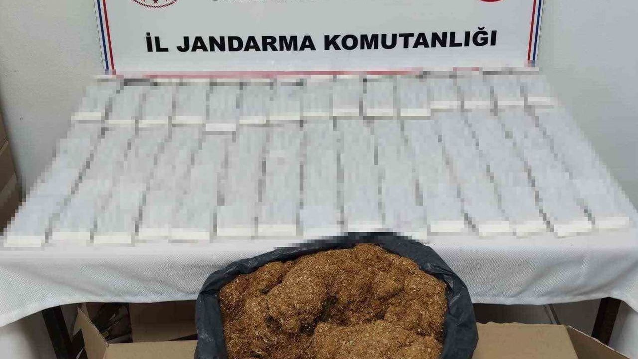 Sakarya'da jandarma operasyonu: Hendek, Karasu ve Kocaali'de 4 gözaltı