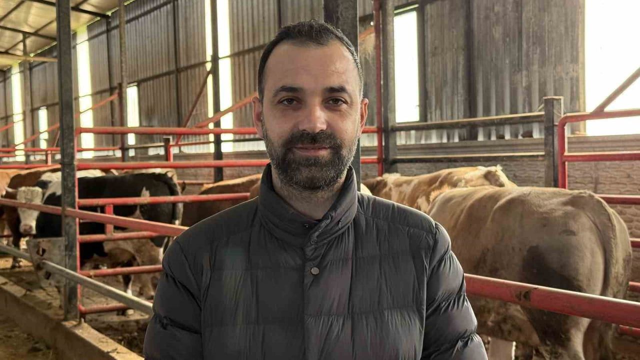 Sakarya’da Kurbanlıkta Erken Alım Yoğunluğu: Fiyat Avantajı ve Gelişim Takibi Öne Çıkıyor