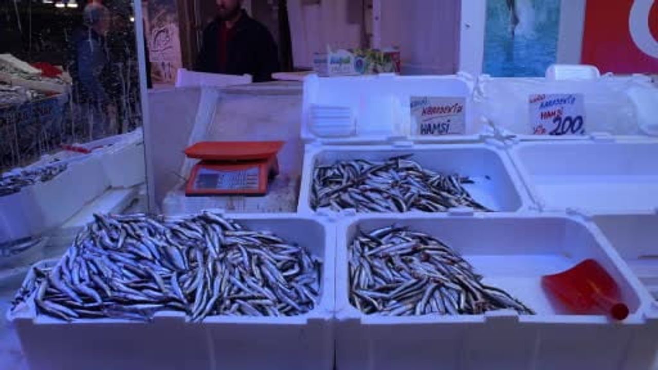 Sakarya’da Sezonun Son Balıkları Tezgâhlarda: 15 Nisan’da Genel Av Yasağı Başlıyor