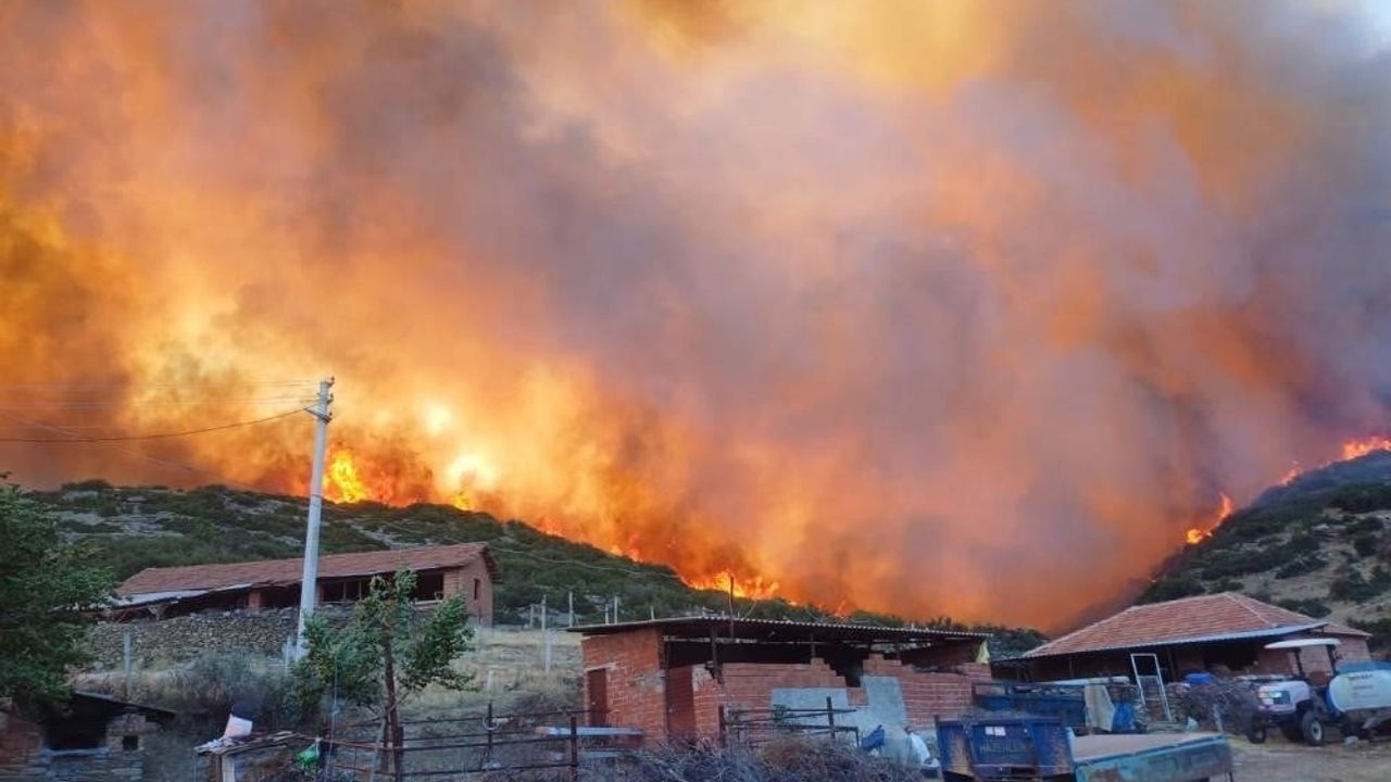 Salihli'de orman yangını riskine karşı 01 Mayıs-31 Ekim 2026 anız ve bitki örtüsü yakma yasağı