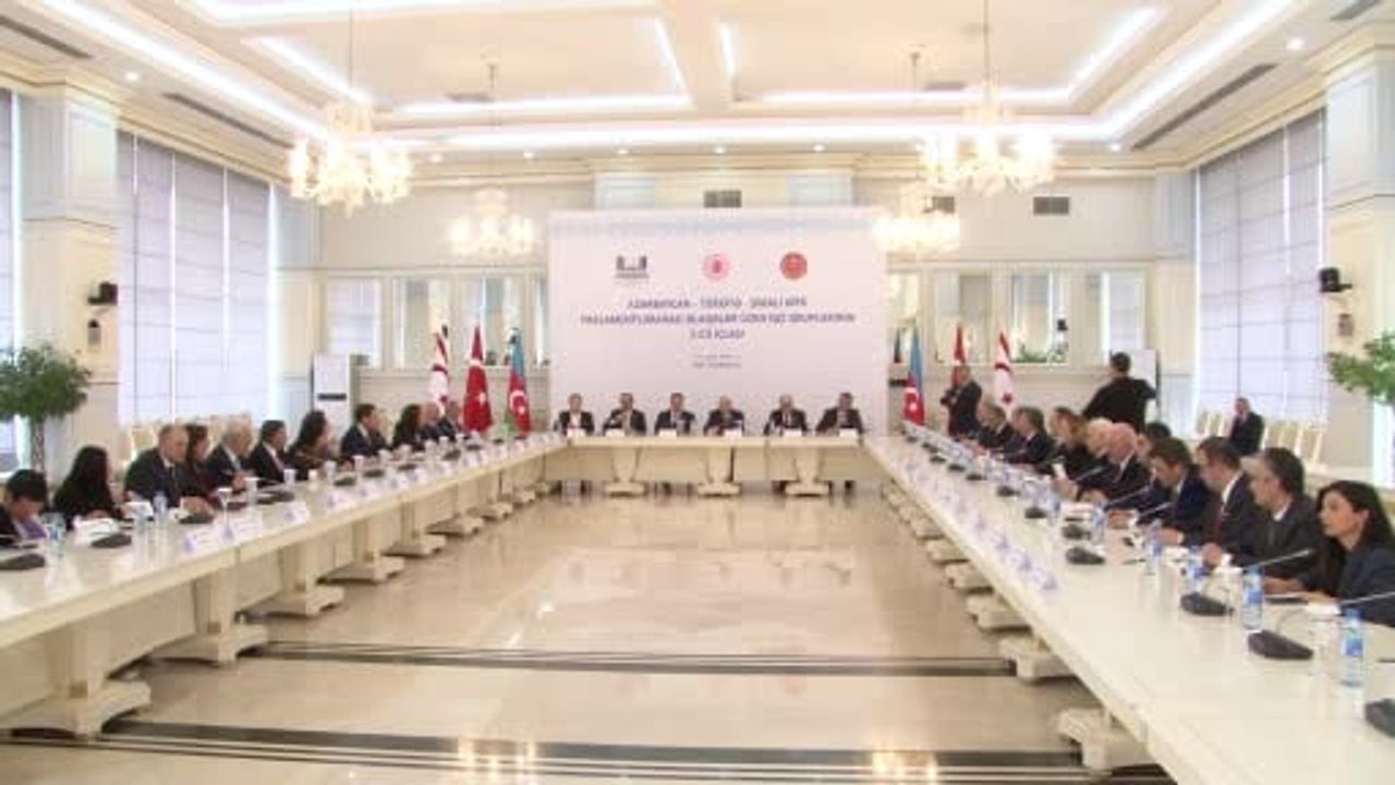 Şamil Ayrım: Ermenistan-Azerbaycan sorunları tamamen çözülürse Türkiye sınırları açacaktır