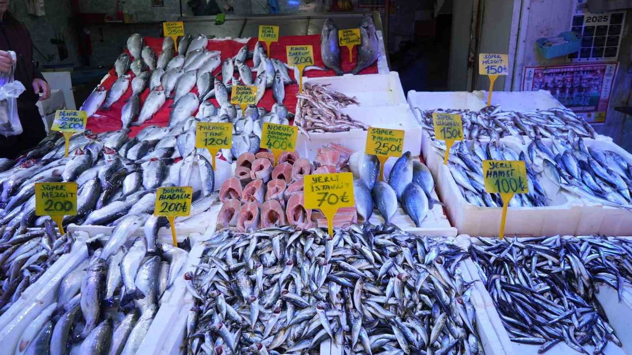 Samsun'da sezon sonuna yaklaşırken istavrit kilosu 70 TL'ye geriledi