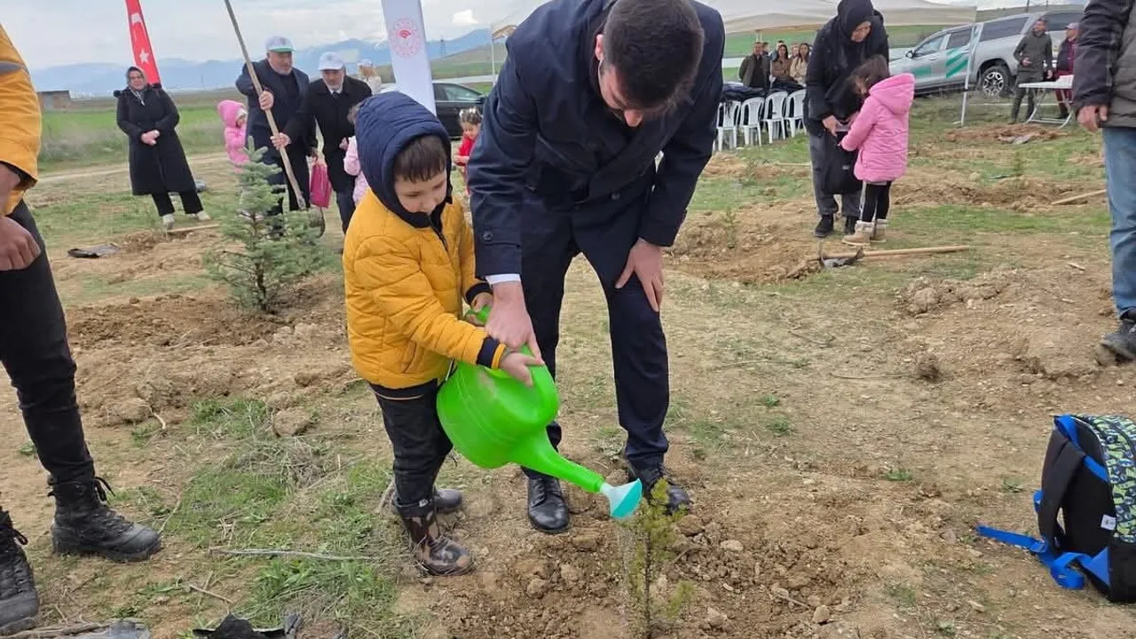 Sandıklı'da 'Türkiye'nin Gücü Orman' Programında Yaklaşık 200 Çam Fidanı Dikildi