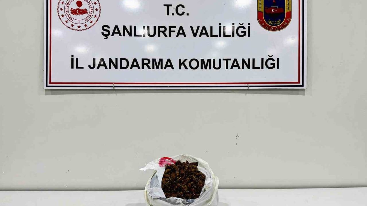 Şanlıurfa Viranşehir’de durdurulan araçta 1 kilo skunk ele geçirildi, 2 gözaltı