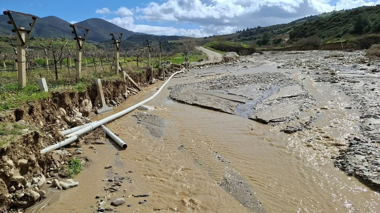 Sarıgöl'ün Ziyanlar Mahallesi'nde gölet taşkını tarım arazilerine zarar verdi