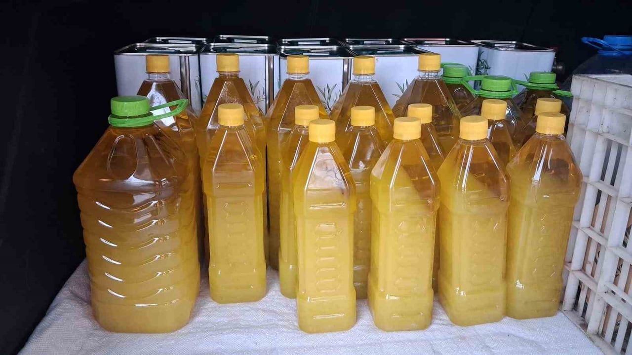 Şarköy Zeytinyağına Coğrafi İşaret Tescili