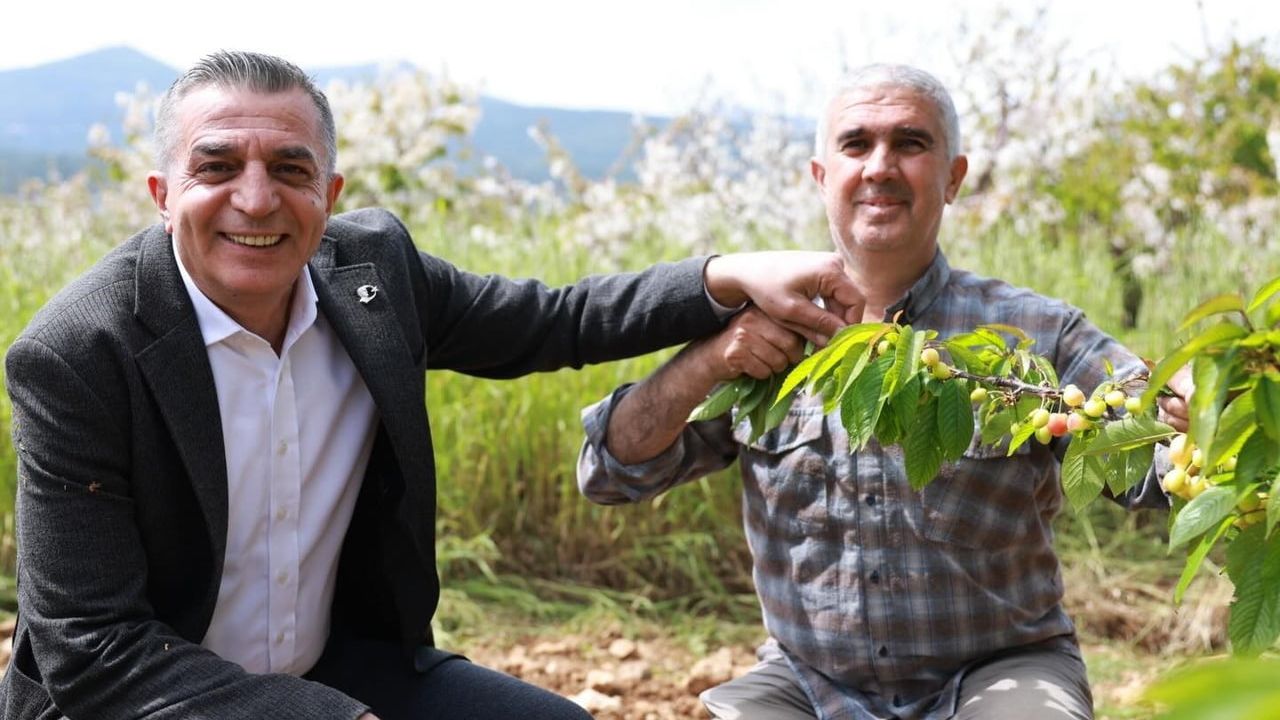 Şehzadeler'de erkenci kiraz hasadı öncesi Başkan Hakan Şimşek üreticilerle buluştu