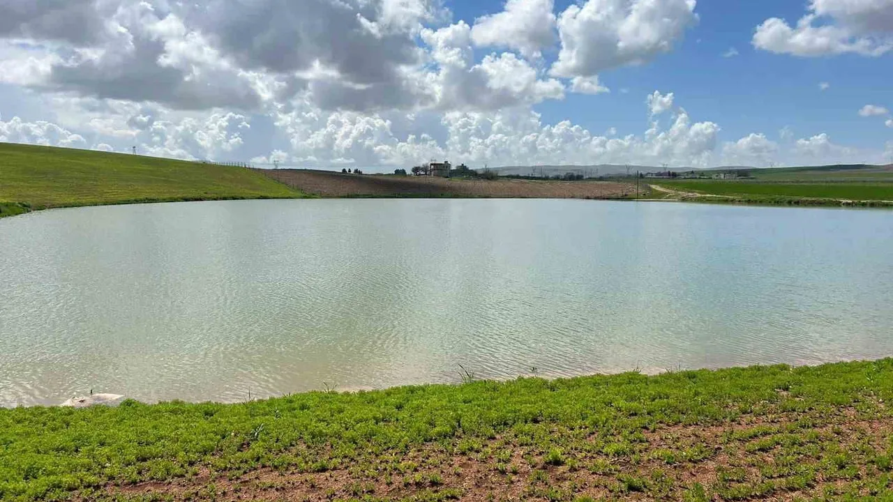 Siirt'te Çayırlı köyü yapay göleti yağışlarla yeniden doldu