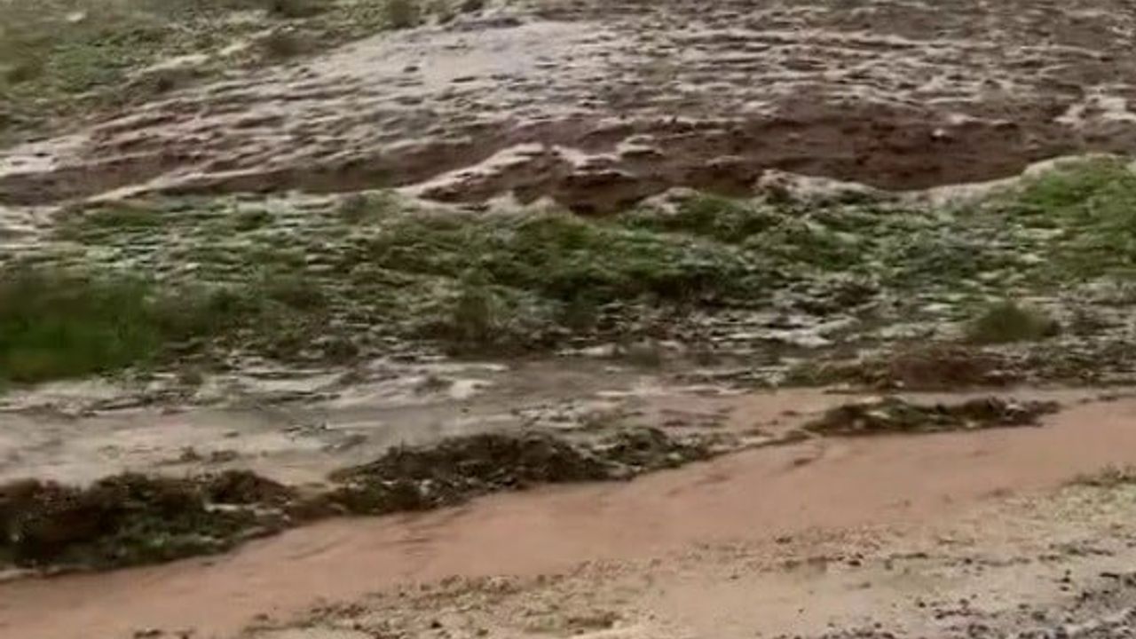 Siirt'te Dolu Etkili Oldu: Kurtalan'da Bağ ve Bahçelerde Hasar