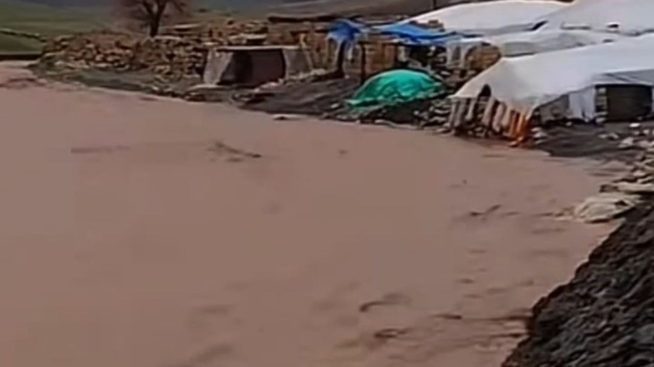 Siirt’te sağanak yağışlar hayvancılığı olumsuz etkiledi