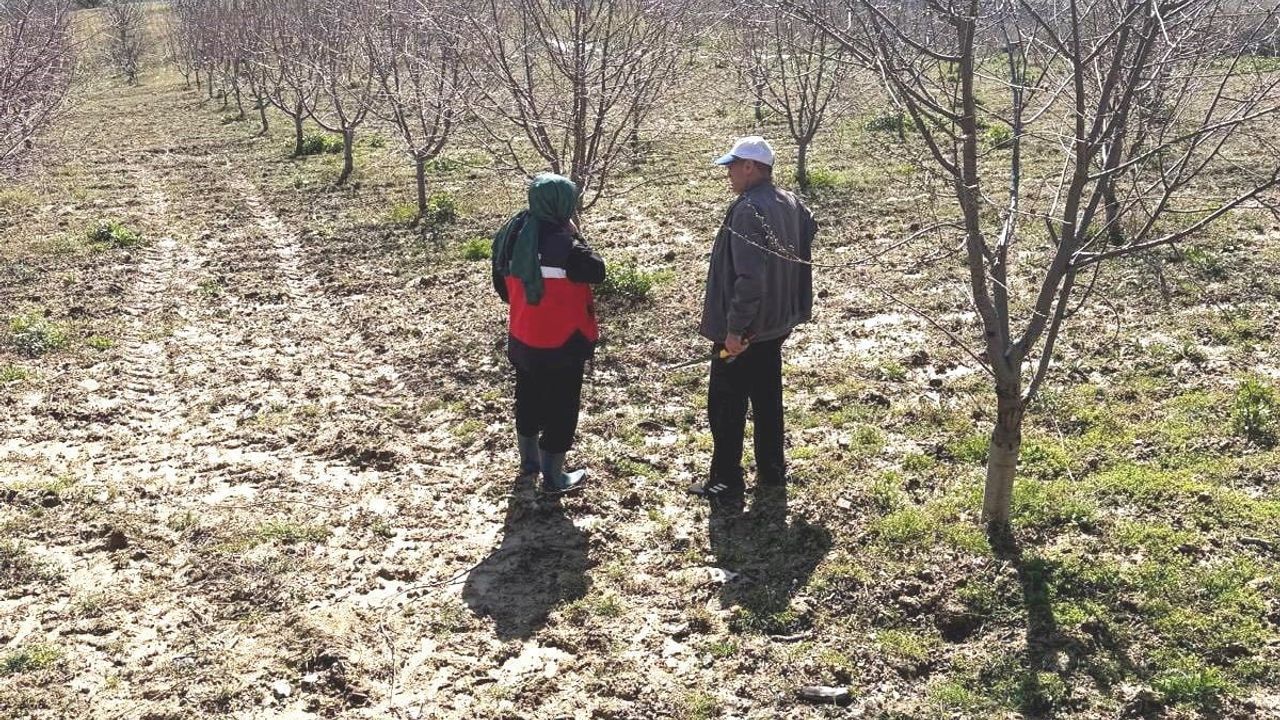 Simav'da üreticilere zirai don uyarısı