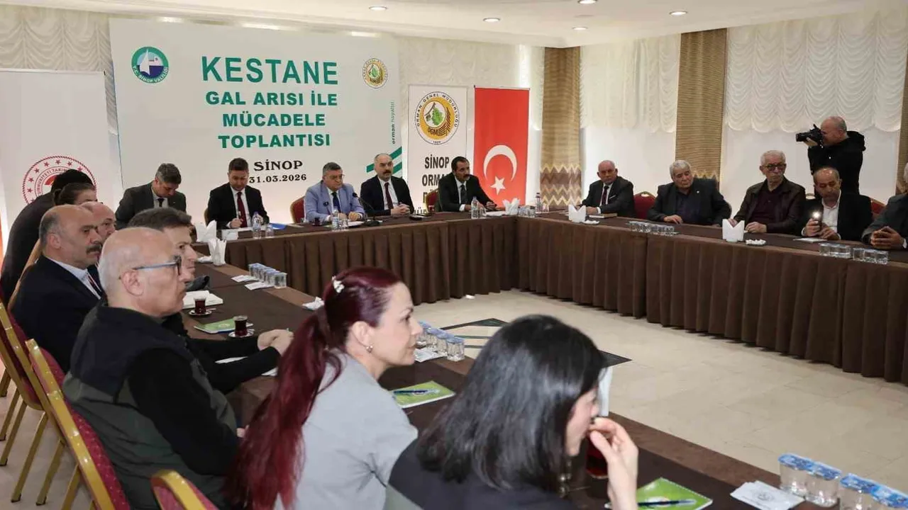 Sinop kestanesi için gal arısı tehdidi ve biyolojik mücadele hedefleri