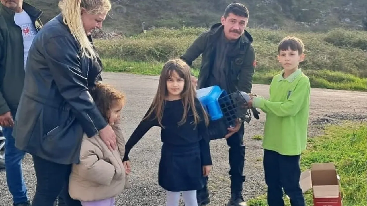 Sinop'ta ilkokul öğrencisinin yaralı güvercine şefkatli müdahalesi