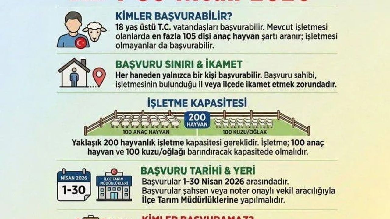 Sinop'ta 'Kırsalda Bereket' Küçükbaş Hayvancılık Desteği için Başvurular 1-30 Nisan 2026