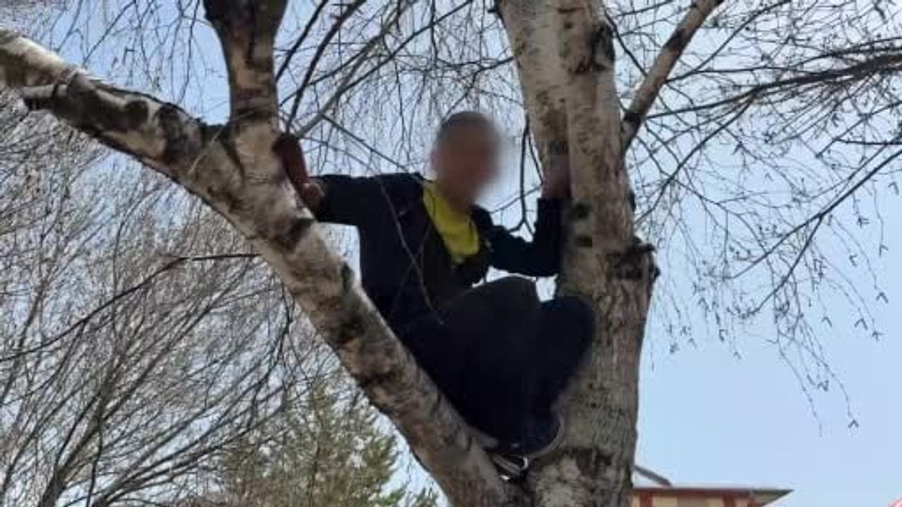 Sivas'ta ağaca çıkan 13 yaşındaki çocuk itfaiye ekiplerince indirildi