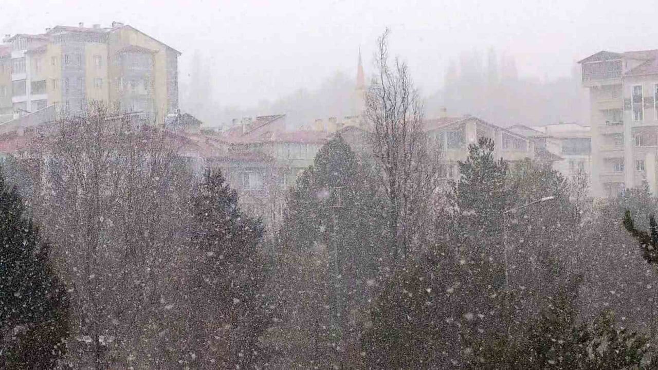 Sivas'ta Erken Göçen Leylekler Karla Karşılaştı