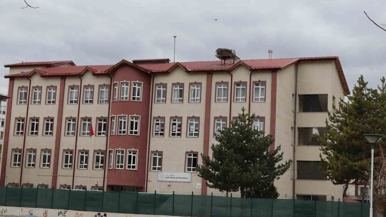 Sivas’taki 'Leylekli Okul' Şehit Erdal Çetin İlkokulu: 42 Yıldır Gelen Leylekler Bu Yıl Gecikti