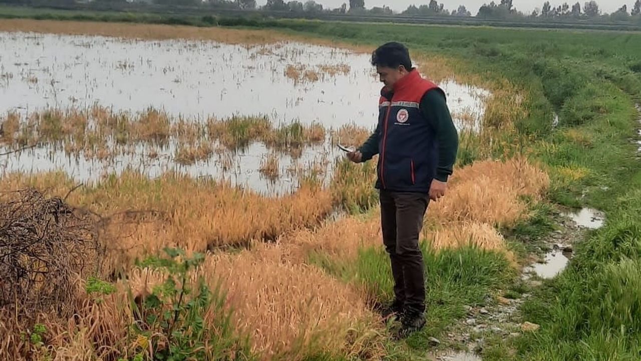 Söke'de sel sonrası tarım arazilerinde hasar tespit çalışmaları sürüyor