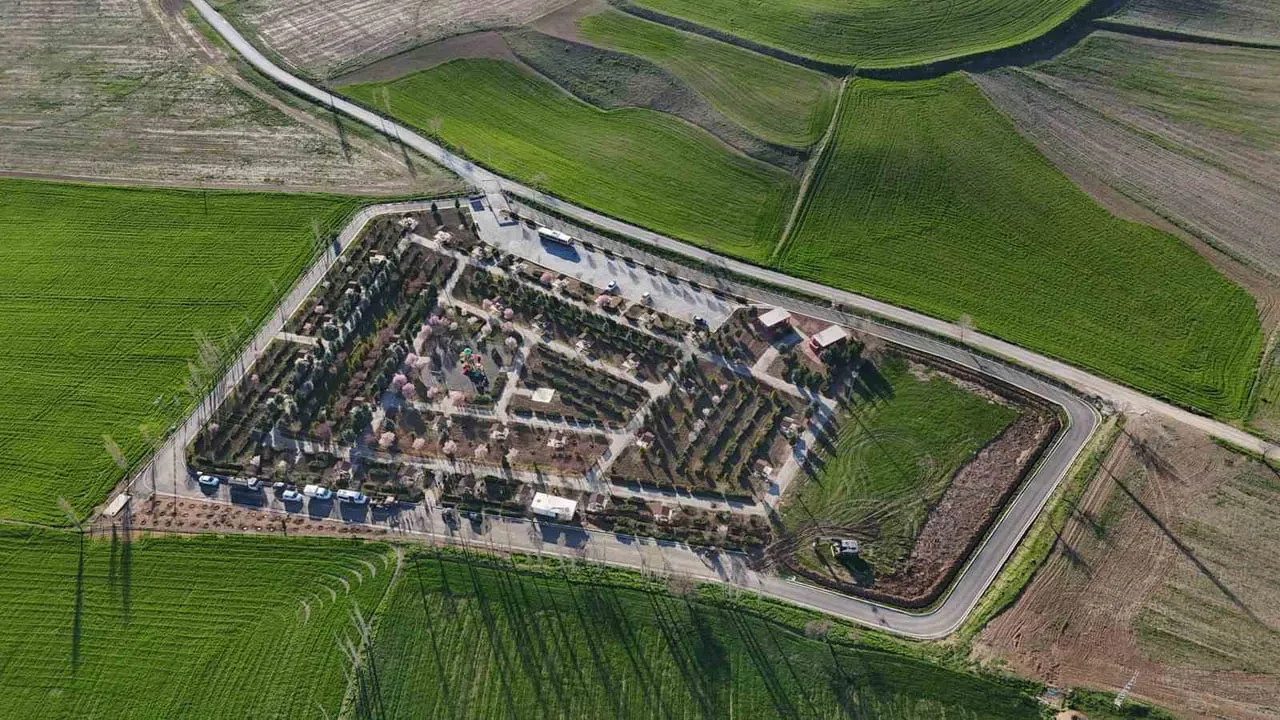 Sungurlu Çocuk ve Genç Meclisi Akçalı Mesire Alanı'nda fidan dikti