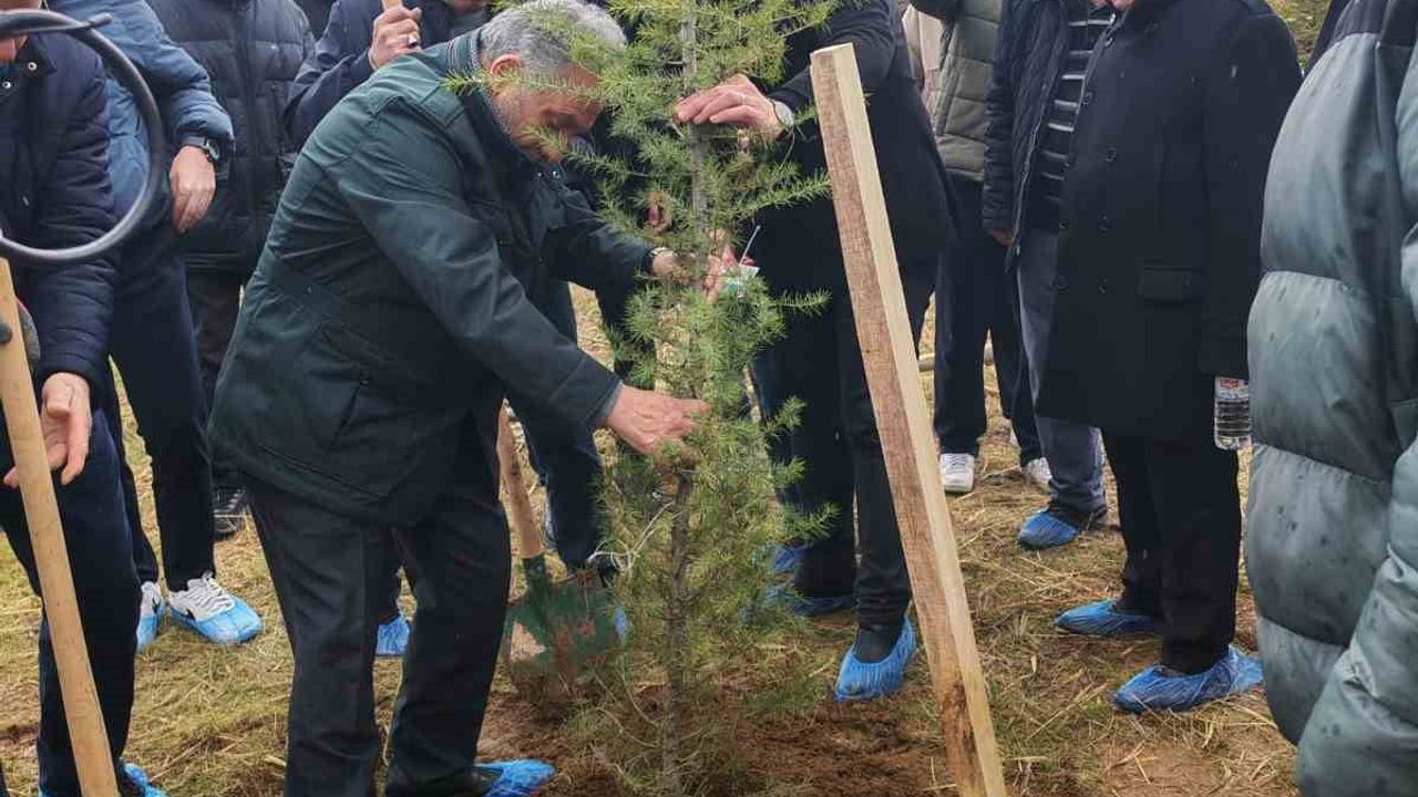 Talas’ta 'Geleceğe nefes, kardeşliğe kök' etkinliği: Bosna Türkleri ile ortak ağaç dikimi