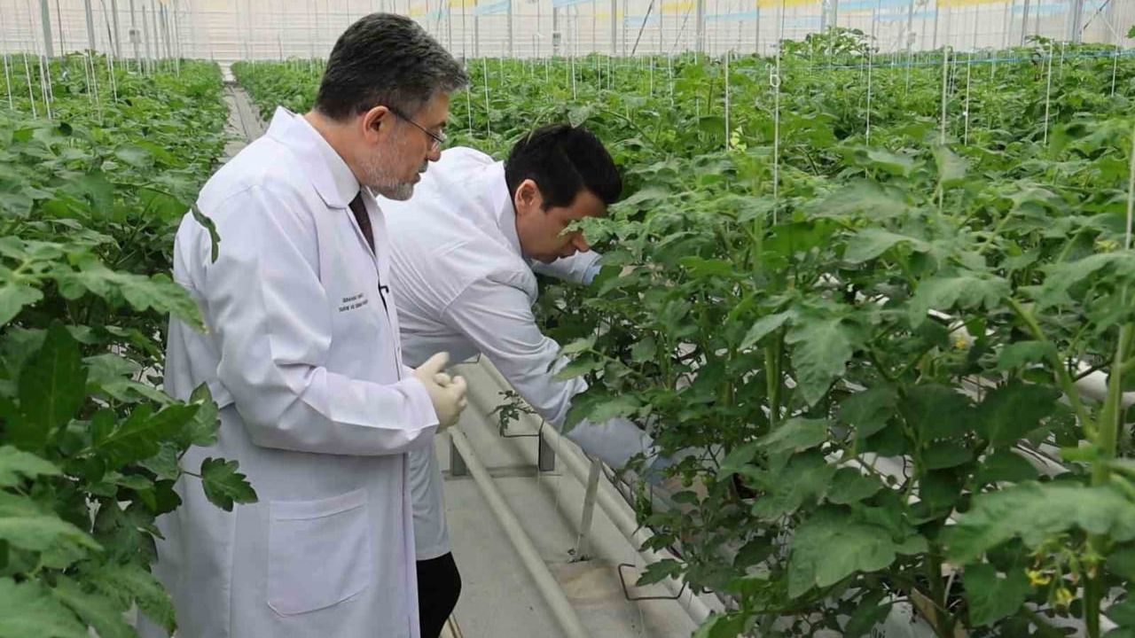 Tarım ve Orman Bakanı İbrahim Yumaklı Aksaray'da: Jeotermal Serayı İnceledi, 17 milyar 200 milyon liralık Destek Ödemesi Duyuruldu