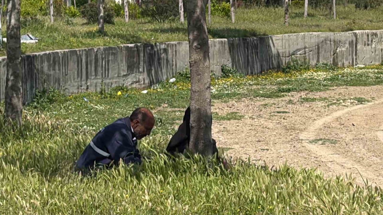 Tarsus'ta kaybolan 18 yaşındaki Batu Yetiş Kerem Kaplan için arama 11. gününde — Şelale köprüsüne tel örgü çekildi
