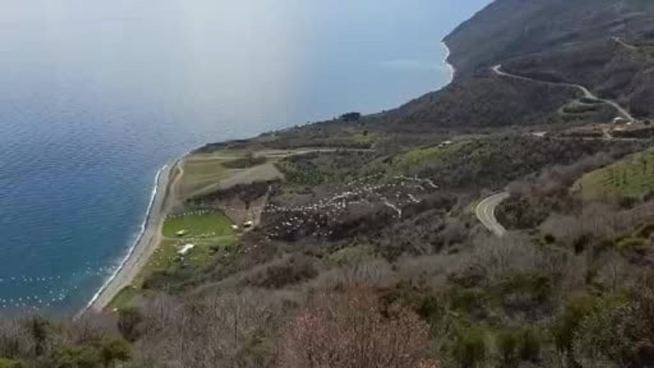 Tekirdağ'da pelikanların senkronize uçuşu Ganos Dağları eteklerinde görsel şölen oluşturdu