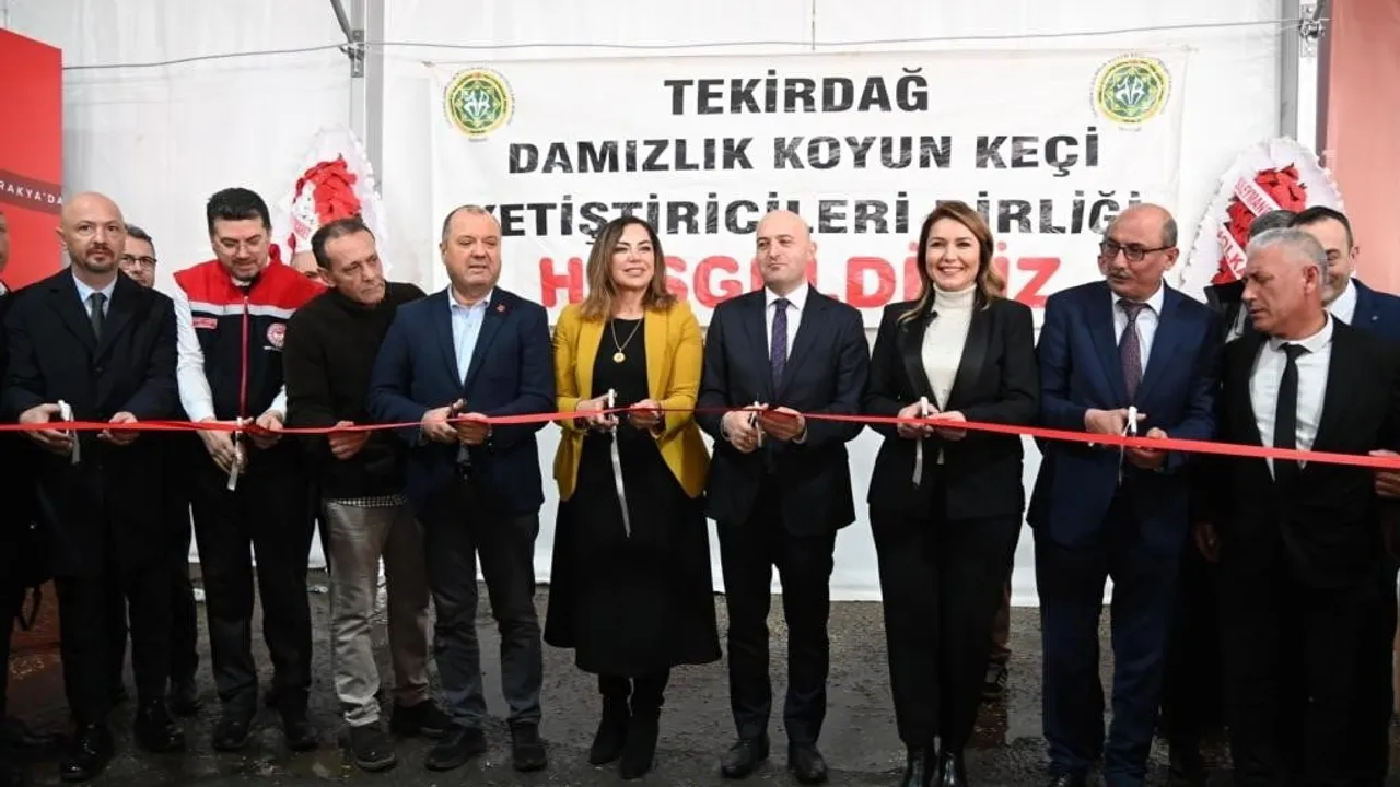 Tekirdağ Malkara'da Trakya'nın İlk Küçükbaş Hayvancılık Festivali Başladı