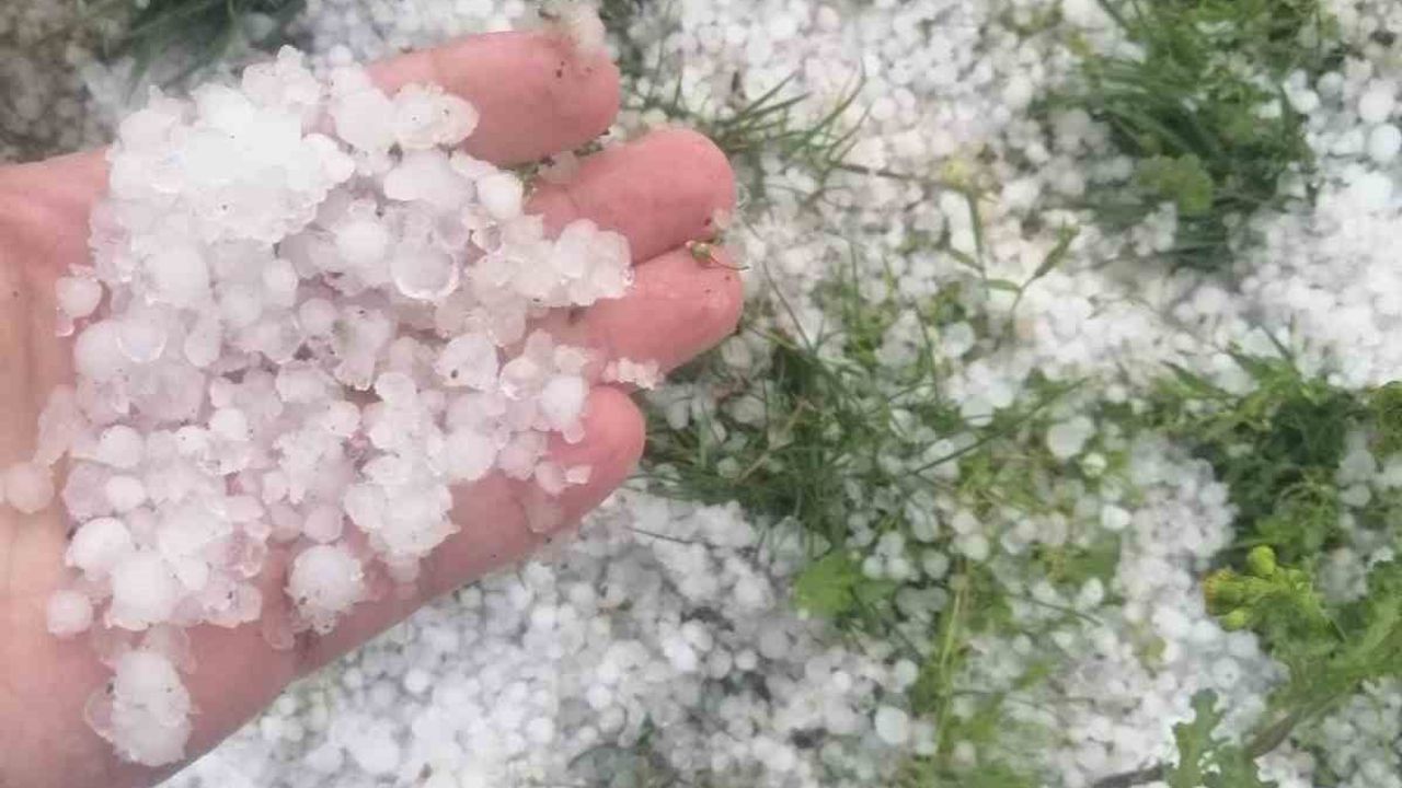 Tekirdağ Muratlı'da Ani Dolu Yağışı Çiftçileri Endişelendirdi