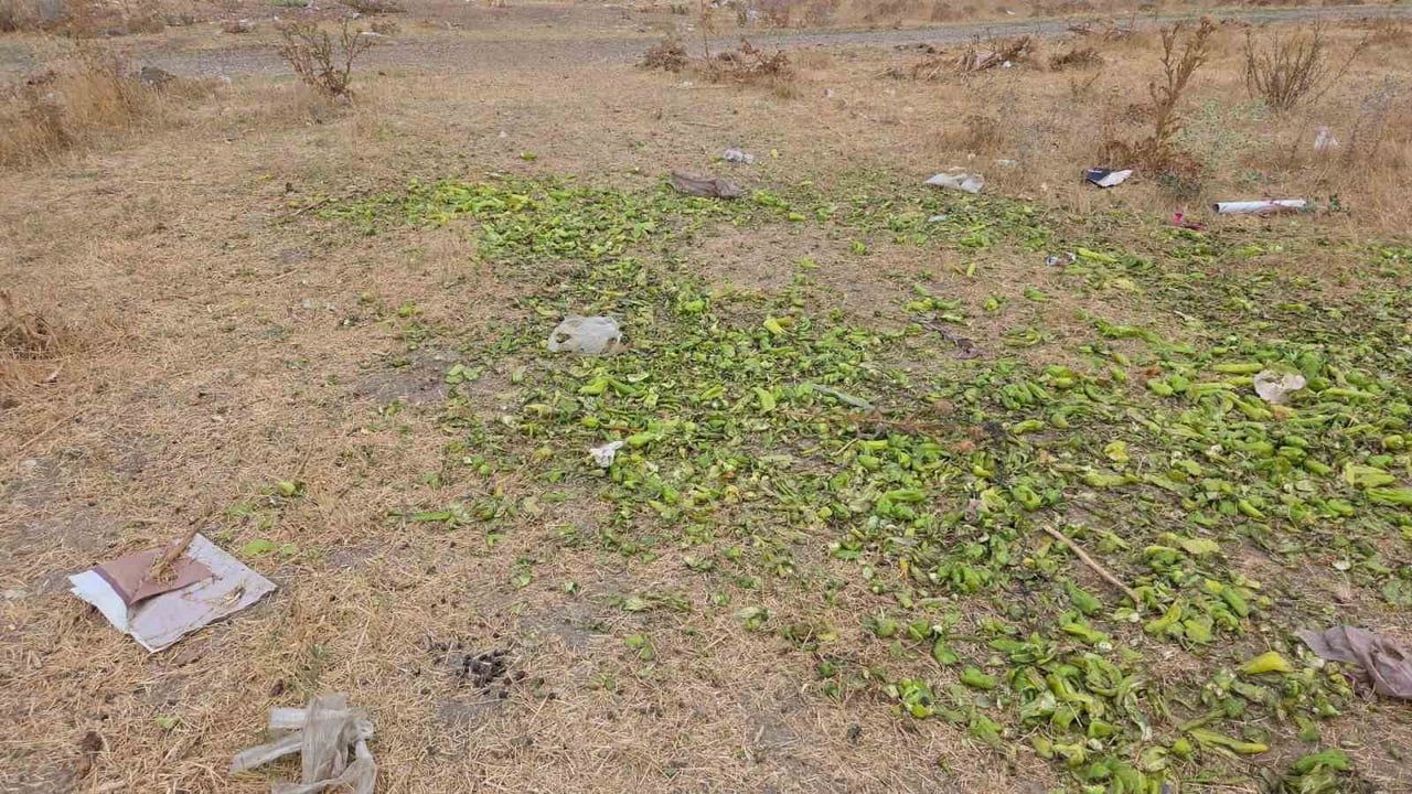 Ticaret Bakanlığı: Biber görüntüleri 7 Ağustos 2025 tarihli, kasıtlı manipülasyon