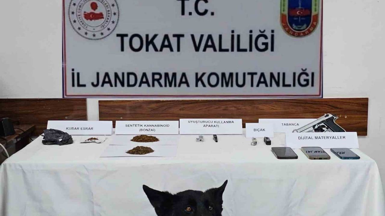 Tokat Reşadiye’de jandarma operasyonu: 5 şüpheli gözaltında