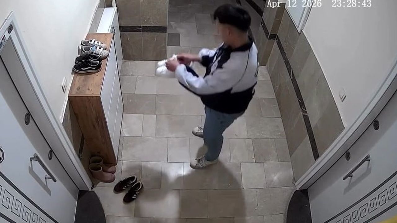 Tokat'ta apartmandan ayakkabı çalan şüpheli tutuklandı