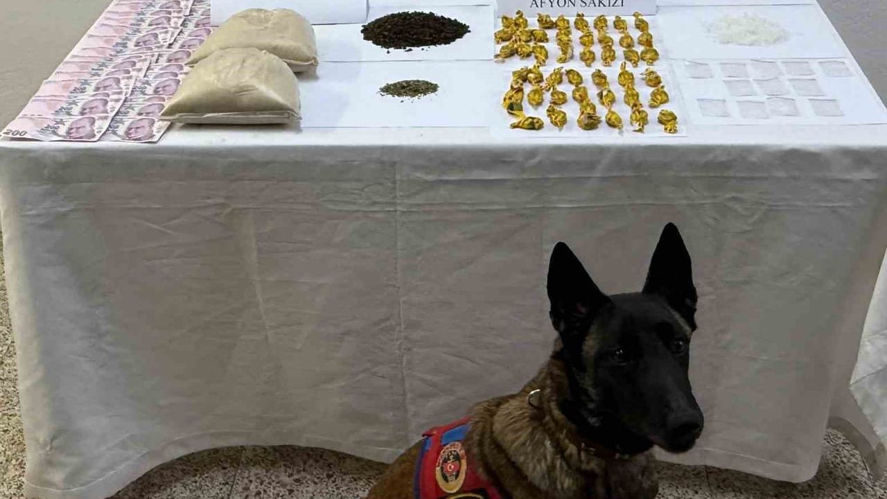 Tokat’ta jandarma operasyonunda yüklü miktarda uyuşturucu ele geçirildi