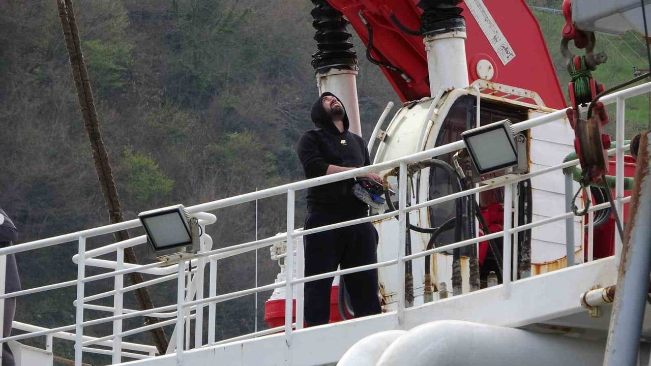 Trabzon'da balıkçılar av yasağı öncesi limana çekildi: Hamsi bolluğu, palamut verimi düşük