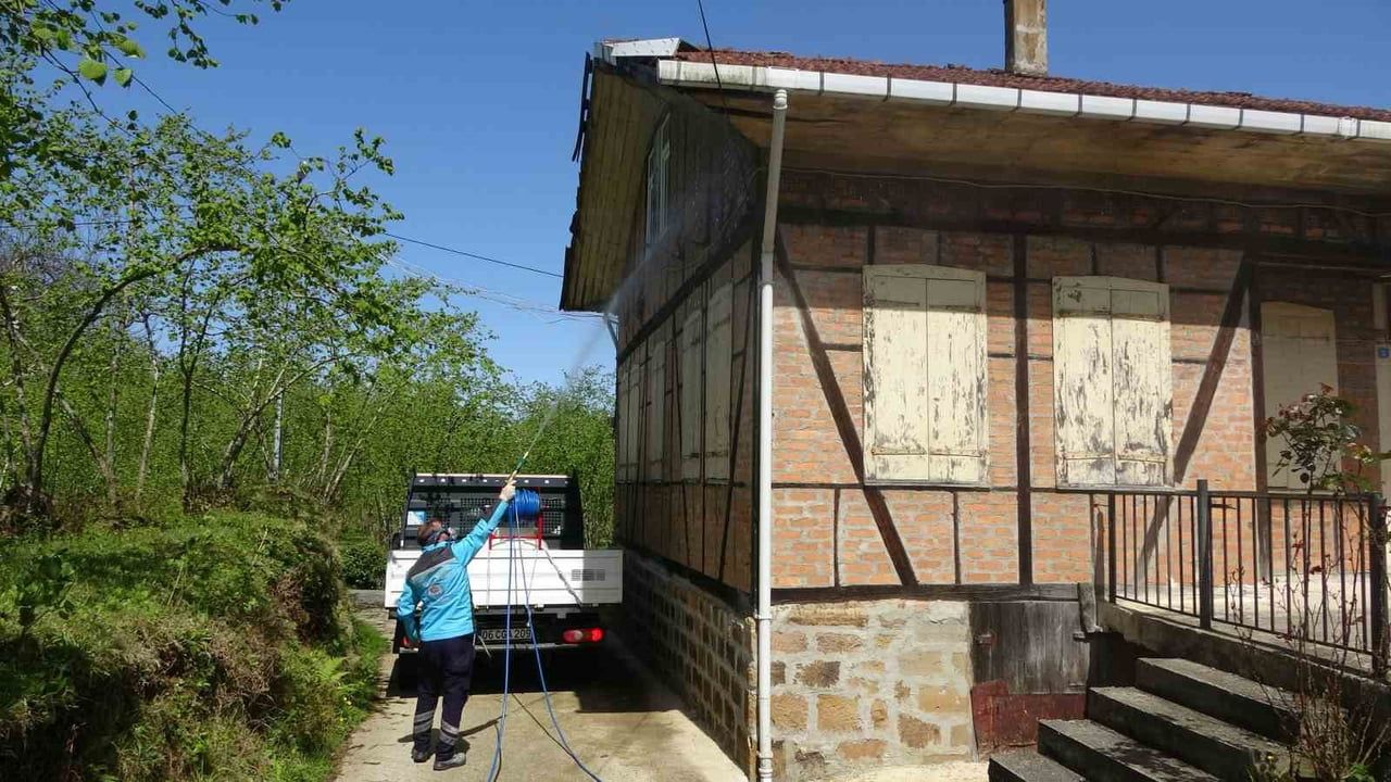 Trabzon'da kahverengi kokarcaya karşı kışlak çıkışı öncesi ilaçlama hız kazandı