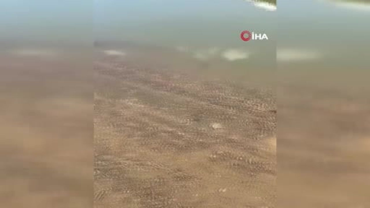 Tufanbeyli'de kaybolan 24 yaşındaki kadın Kürebeli Barajı'nda ölü bulundu