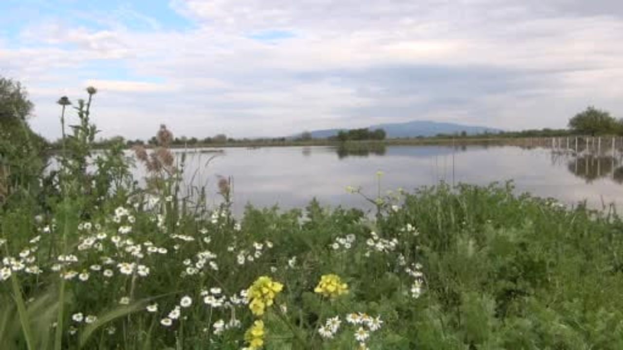 TZOB Başkanı Şemsi Bayraktar Manisa’da selden etkilenen tarım arazilerini inceledi, destek çağrısı yaptı