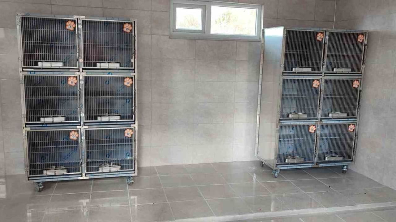 Ünye'de Can Dostlar Mavi-Yeşil Doğal Yaşam Alanı tamamlanma aşamasında