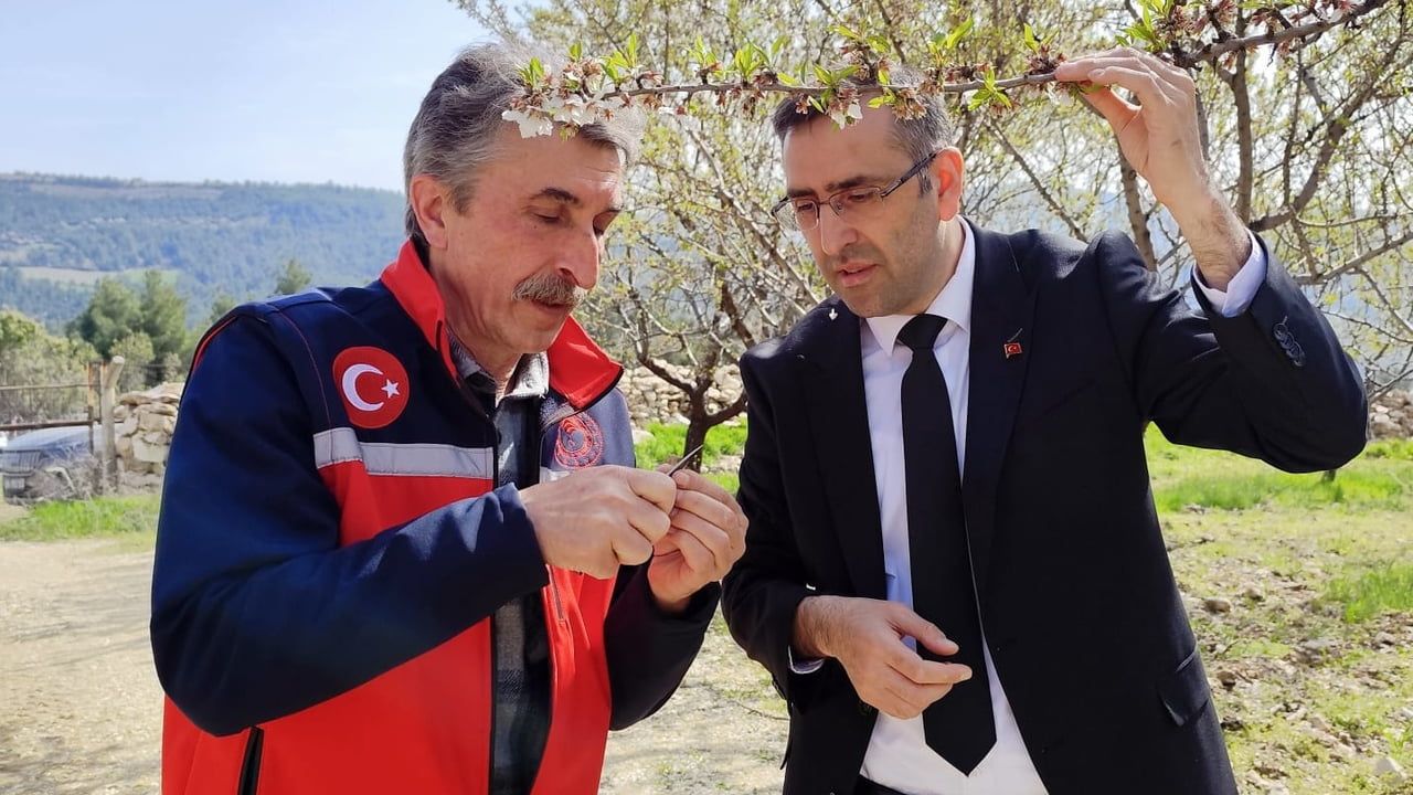 Uşak'ta İl Tarım ve Orman Müdürlüğü ekipleri üreticilerle saha incelemesi yaptı