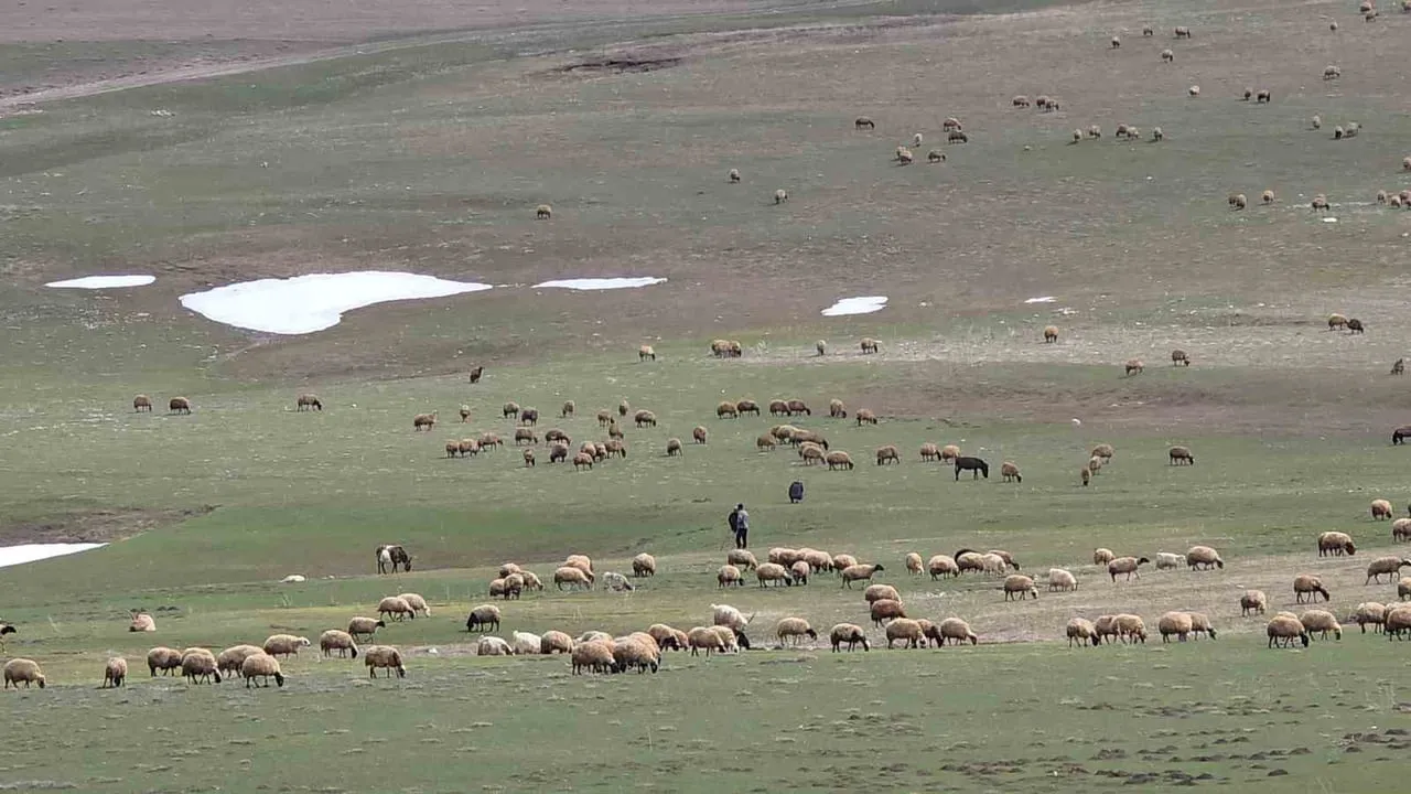 Van'da İki Mevsim Bir Arada: Karabet Geçidi'nde Kış, Kent Merkezinde İlkbahar