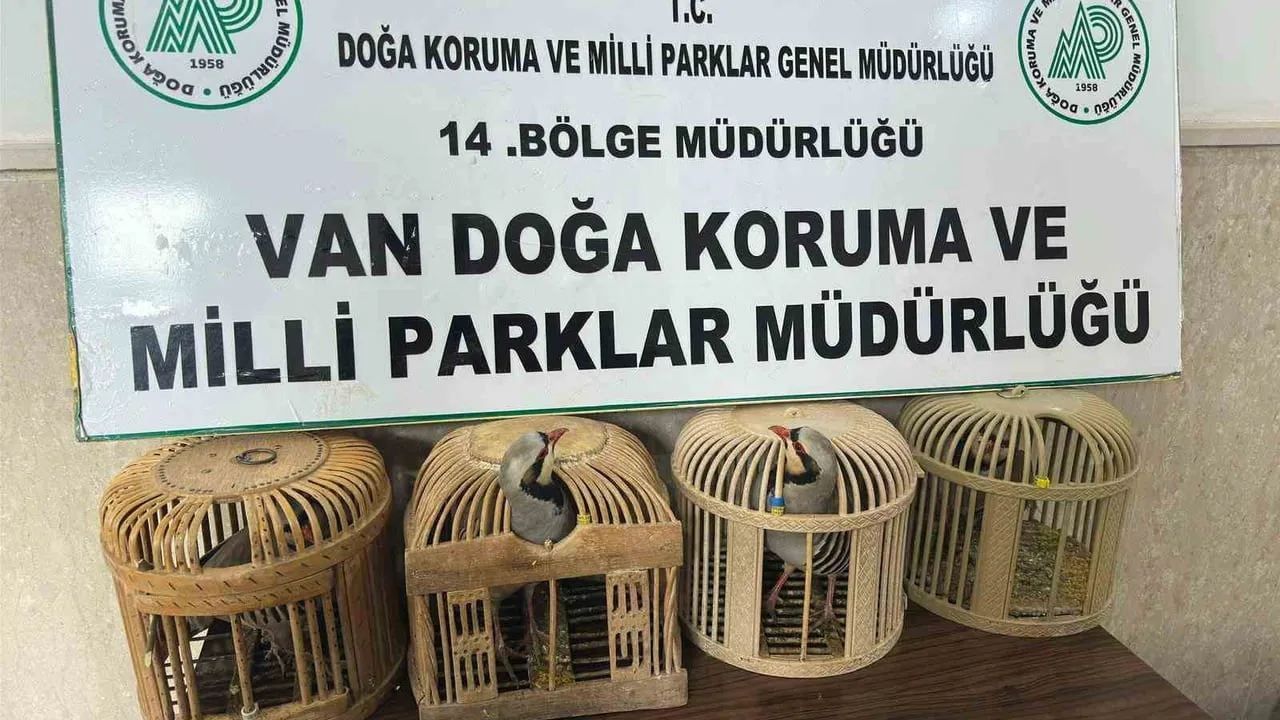 Van Gevaş'ta kafes avcılığına 86 bin 278 lira ceza