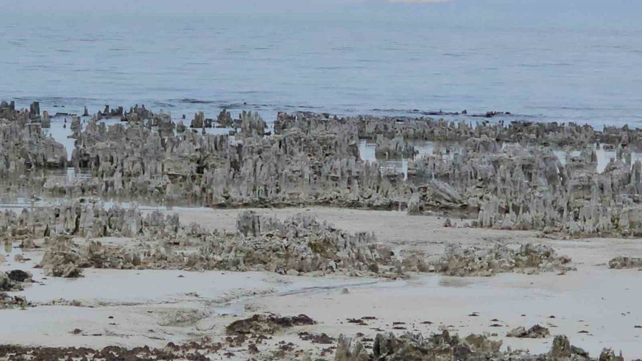 Van Gölü'nde su çekilmesi: Adilcevaz sahilinde mikrobiyalitler gün yüzüne çıktı