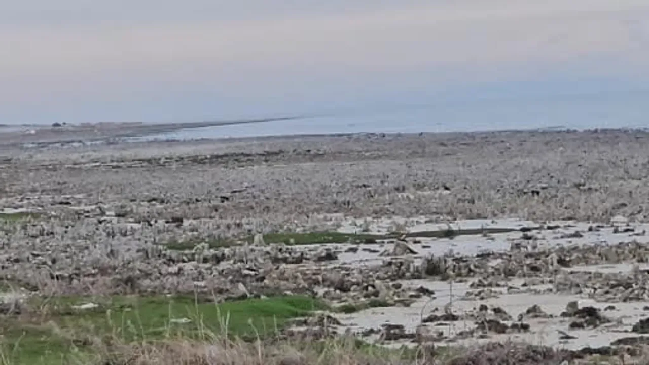Van Gölü'nde su çekilmesi: Adilcevaz sahilinde mikrobiyalitler ortaya çıktı