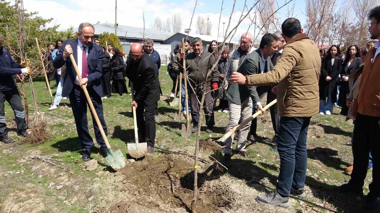 Van YYÜ'de Genç Diplomatlar kampüste yerel meyve fidanları dikti