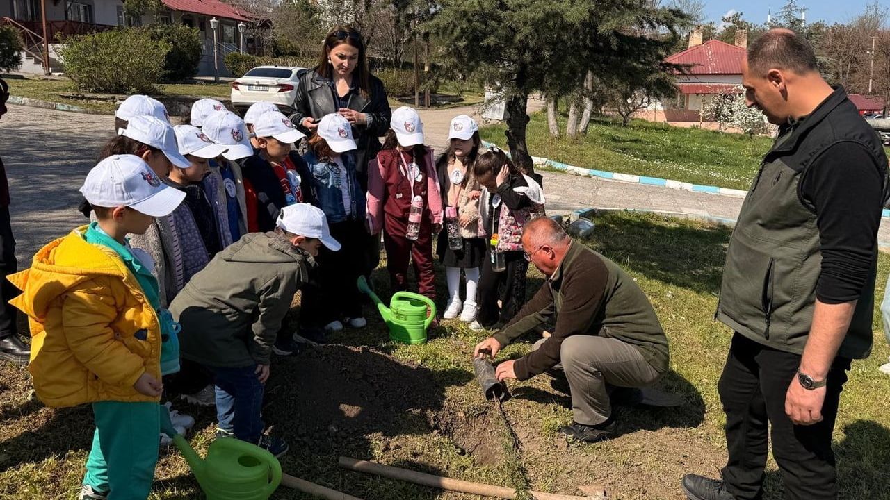 Vezirköprü'de Cumhuriyet Anaokulu Öğrencileri Fidan Dikti