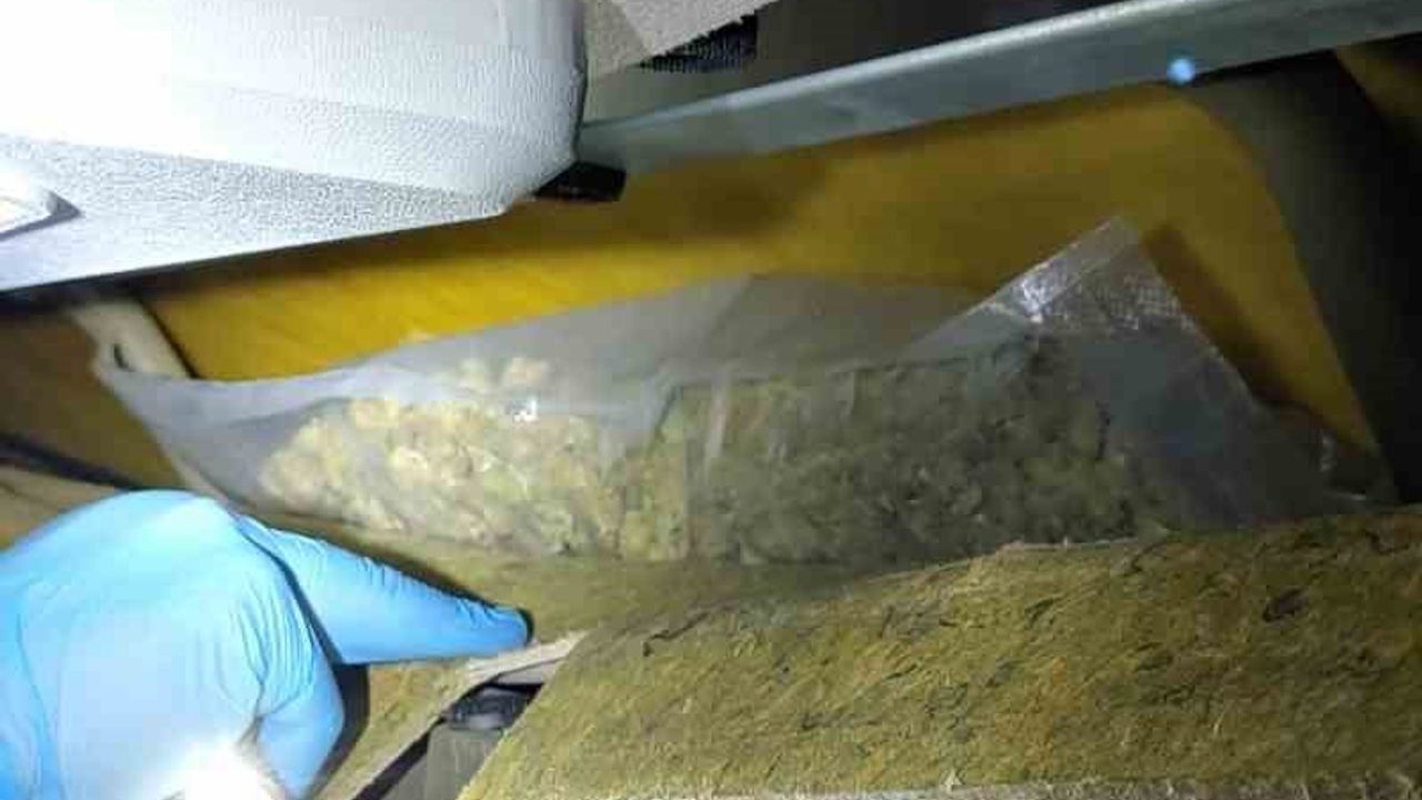 Vidin-Kalafat Tuna Köprüsü'nde avokado ve mango yüklü kamyonda uyuşturucu ele geçirildi