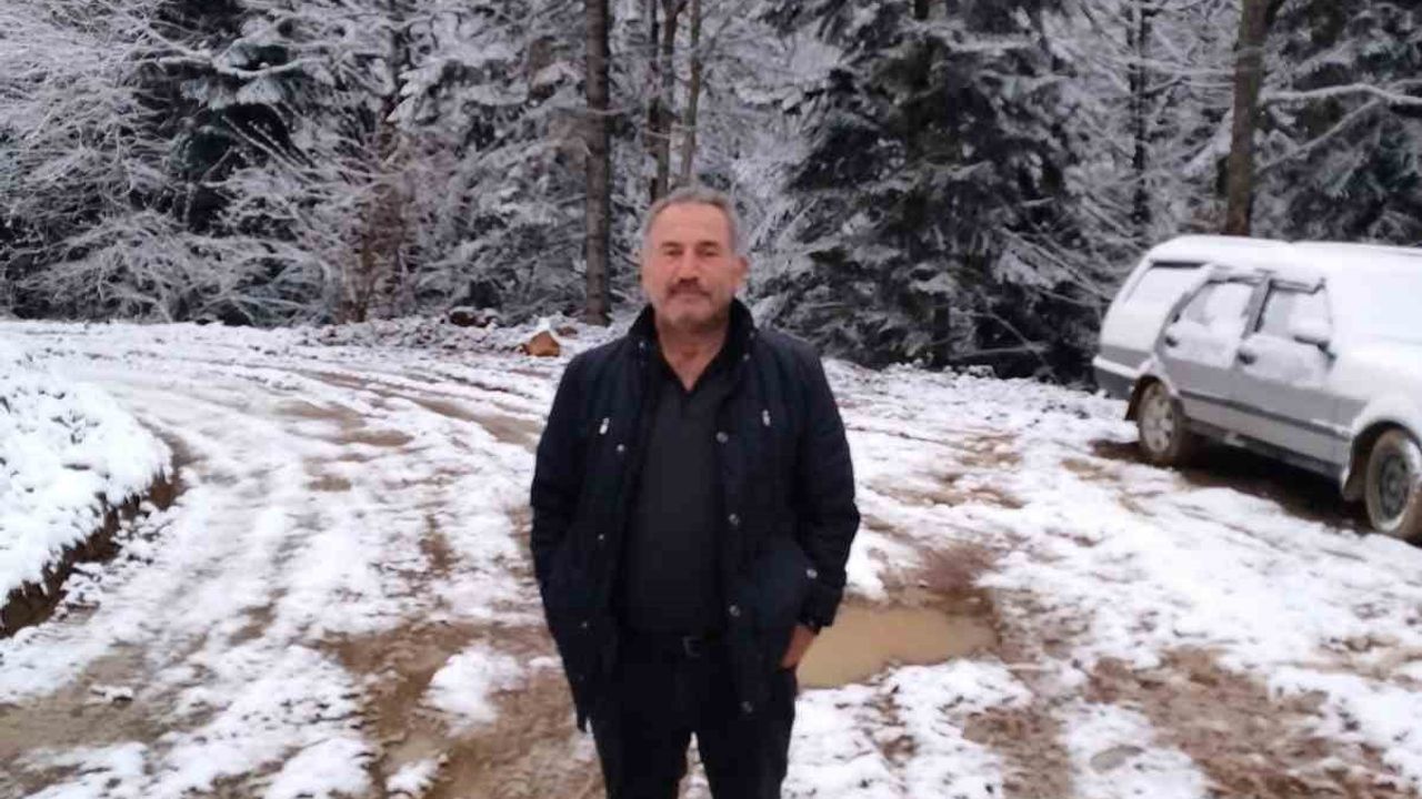 Yenice'de ağaç kesimi kazasında 62 yaşındaki işçi yaşamını yitirdi