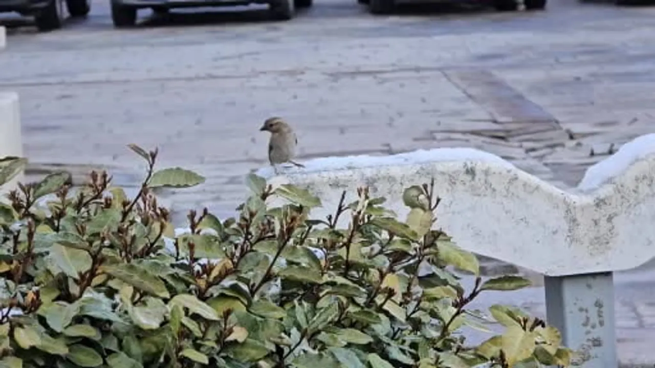 Yozgat’ta 10 Nisan sabahı yüksek kesimleri etkileyen kar yağışı